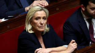 Umfrage: 49 Prozent wollen Le Pen als Präsidentschaftskandidatin