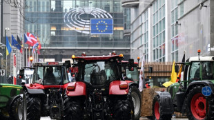 Col&egrave;re agricole: ultime feu vert des 27 &agrave; la r&eacute;vision de la PAC