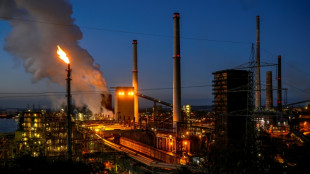 La UE despliega medidas para "salvar" su sector del acero