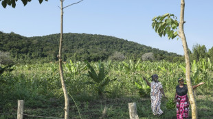 Global race for rare earths comes to Kenya's Mrima Hill