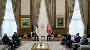 Ukraine: Selenskyj und Erdogan bemühen sich um Wiederbelebung von Verhandlungen