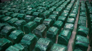Decomisan en España 1.000 kilos de cocaína de una organización que operaba a través del puerto de Valencia