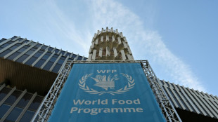 Aide alimentaire: l'ONU craint de ne pouvoir subvenir qu'&agrave; un tiers des besoins en 2026