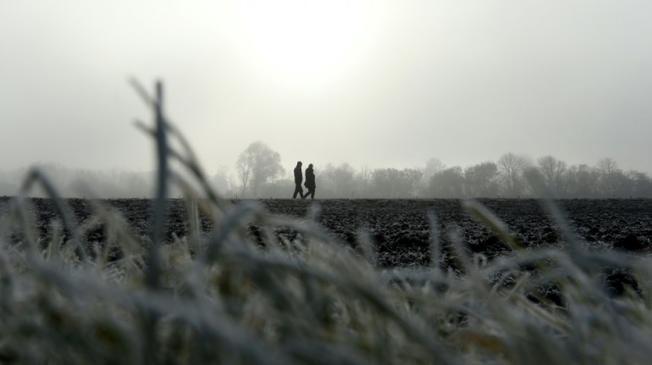 Viele Verkehrsunf&auml;lle auf glatten Stra&szlig;en vor allem in Nordrhein-Westfalen
