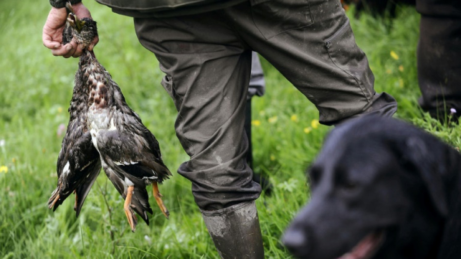 Jägerprüfungen in Deutschland: 2024 dritthöchster Wert seit 75 Jahren
