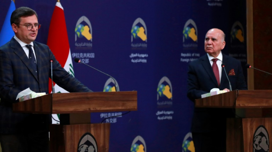 Ucrania, esc&eacute;ptica sobre el &eacute;xito de los esfuerzos de paz con Rusia