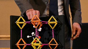 'Solids full of holes': Nobel-winning materials explained
