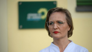 Brantner zu ersten Koalitionsergebnissen: "Reise in die Vergangenheit"