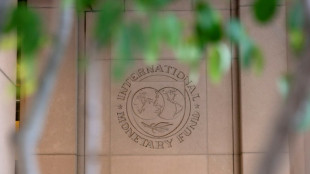 El FMI abre la vía para desembolsar a Argentina unos USD 2.000 millones