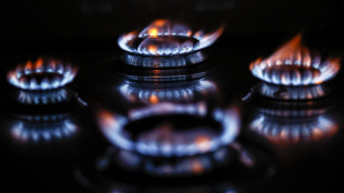 Consumerismo, 'il mercato libero del gas &egrave; un flop'