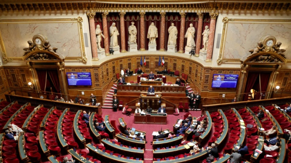 S&eacute;natoriales: le RN en passe de former un groupe parlementaire au S&eacute;nat