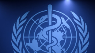 Inequality is major factor in impact of non-communicable diseases : WHO