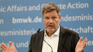 Voitures &eacute;lectriques: Berlin exhorte l'UE et P&eacute;kin &agrave; s'entendre