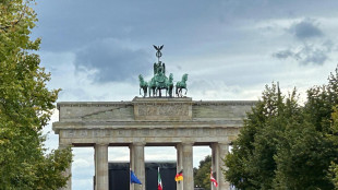 Gli ordini alla manifattura aumentano in Germania, a novembre (+1,8%)