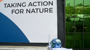 UN nature talks in extra time as nations struggle to reach deal