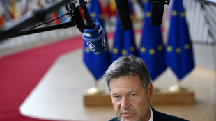 Habeck bef&uuml;rwortet Entkopplung des Strompreises vom Gaspreis
