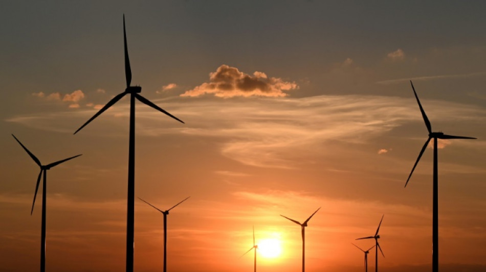 Analyse: NRW bei Ausbau der Windkraft bundesweit an Spitze - Bayern weit hinten