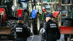 Mercosur-Abkommen: Aufschub auf kommendes Jahr m&ouml;glich