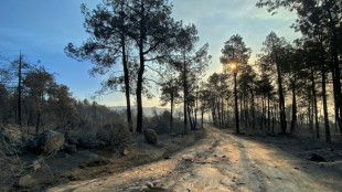 Espa&ntilde;a enfrenta d&iacute;as clave para frenar los incendios cerca de Madrid