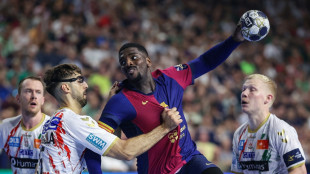 Medien: F&uuml;chse Berlin verpflichten Mem und Palicka