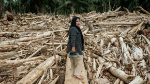 Indonesians reeling from flood devastation plea for global help