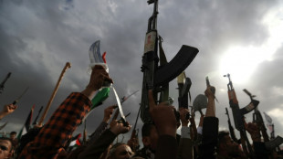Manifestaciones en Irán y Oriente Medio para apoyar a los palestinos