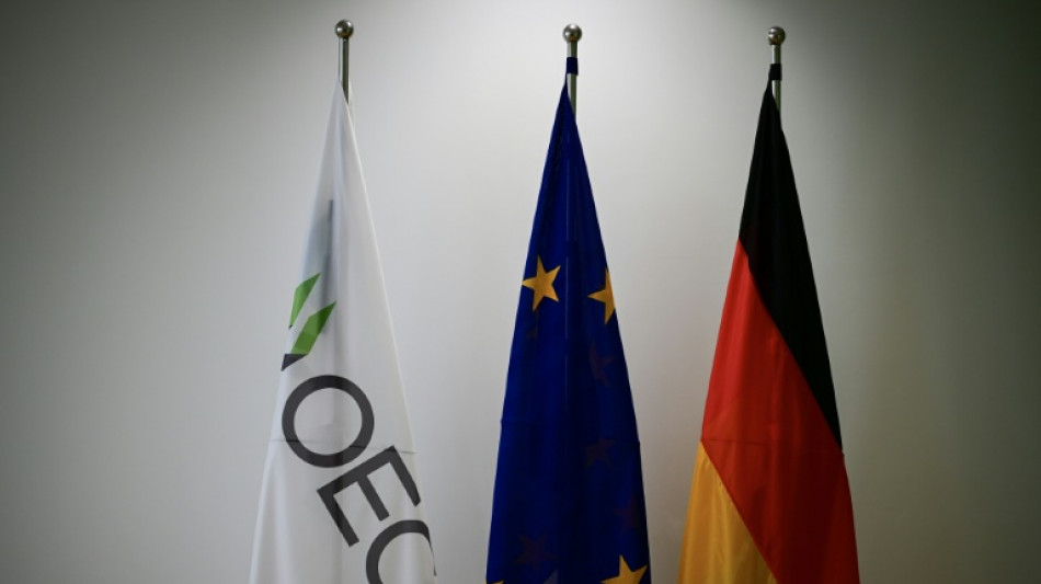 L'OCDE plus optimiste pour la croissance des poids lourds &eacute;conomiques en 2025