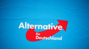 Haldenwang begr&uuml;&szlig;t Entscheidung von K&ouml;lner Verwaltungsgericht zu AfD