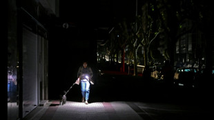'First of its kind' power surge behind Iberia blackout: experts