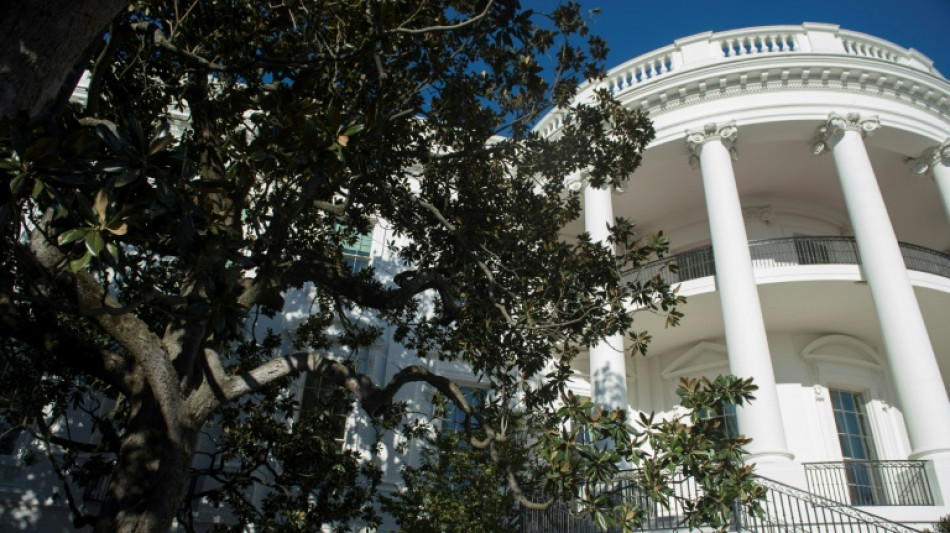 Un centenario y enfermizo árbol de la Casa Blanca será removido, según Trump