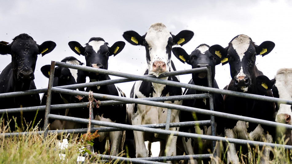 L'Ue propone nuove tutele per gli agricoltori sul Mercosur