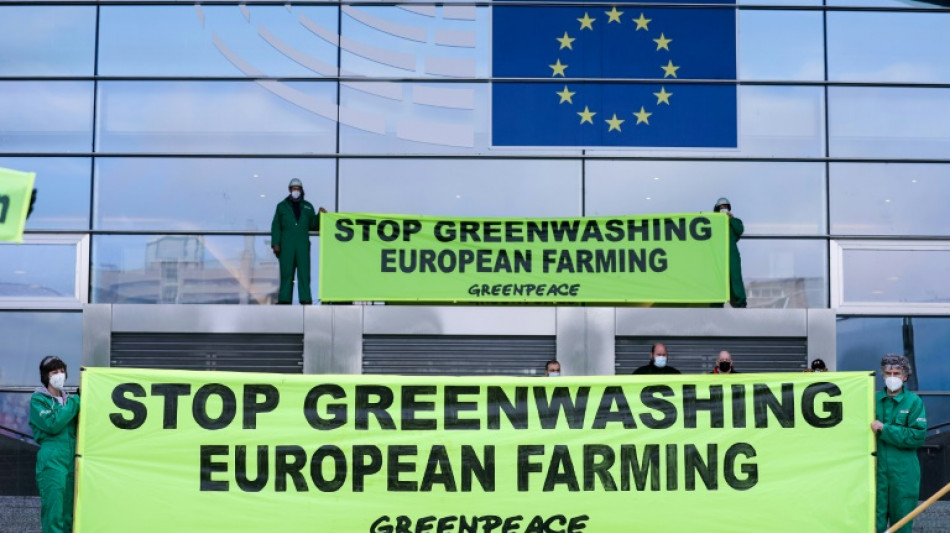 Greenwashing: les eurod&eacute;put&eacute;s veulent faire le m&eacute;nage sur les &eacute;tiquettes
