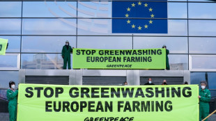 Greenwashing: les eurod&eacute;put&eacute;s veulent faire le m&eacute;nage sur les &eacute;tiquettes