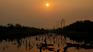 Brasil investiga una disparada de incendios "criminales" en la Amazon&iacute;a