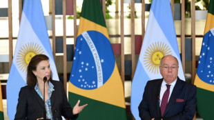 Argentina 'jamais vai interferir' em assuntos do Brasil, diz chanceler após apoio de Milei a Musk