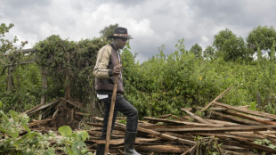 Evicted from their forests, Kenyan hunter-gatherers fight for their rights