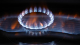 Il prezzo del gas apre in rialzo a 26,95 euro