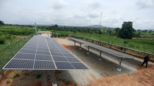Green bonds offer hope, and risk, in Africa's climate fight