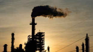 Studie: CO2-Aussto&szlig; steigt im weltweiten Energiesektor auf Rekordwert