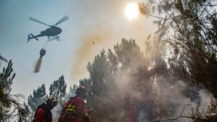 Studie: Waldbrände werden immer schlimmer und befördern die Klimakrise