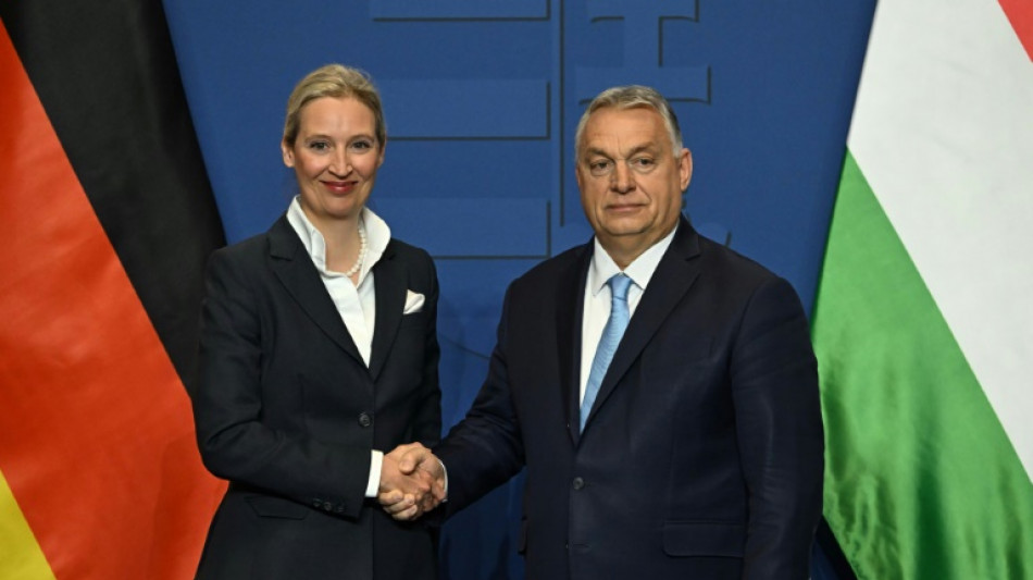 Ungarns Regierungschef Orban gratuliert Weidel zu gutem Wahlergebnis