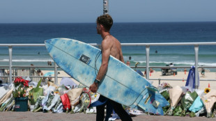 Australian announces gun buyback, day of 'reflection' after Bondi shooting