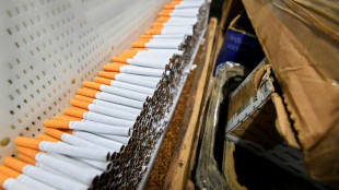 Les usines clandestines de cigarettes, machine à cash des organisations criminelles