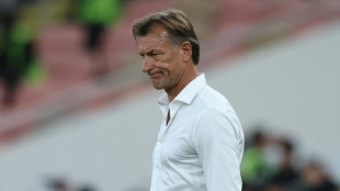 Renard sacked as Saudi Arabia coach ahead of World Cup