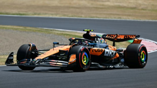 Norris fastest in Japan GP first practice, Tsunoda sixth on Red Bull debut