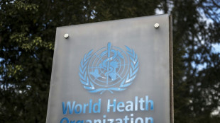 El aumento del uso de la IA en la atenci&oacute;n de salud requiere salvaguardias jur&iacute;dicas, afirma la OMS