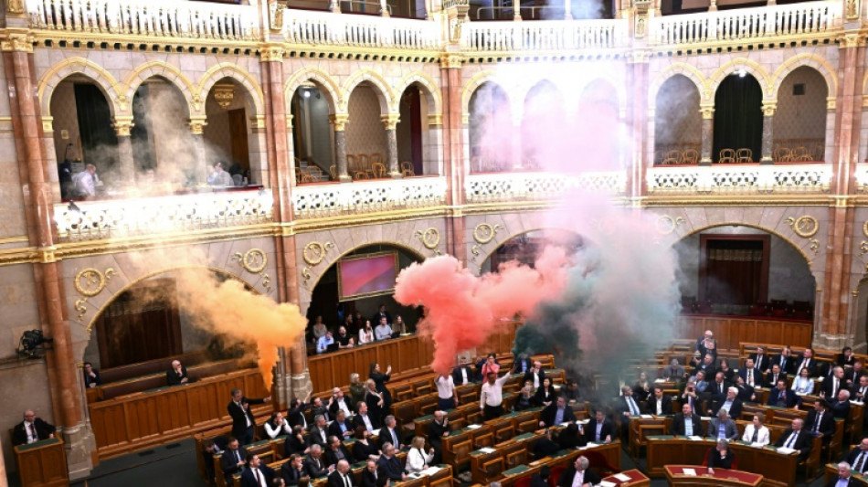 El Parlamento h&uacute;ngaro vota una ley para prohibir la Marcha del Orgullo