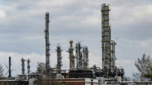 Berlin: &Ouml;l-Lieferungen &uuml;ber Druschba-Pipeline nicht unterbrochen