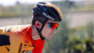 Tour du Pays Basque: Bilbao surprend Alaphilippe sur la 3e &eacute;tape, Roglic reste leader