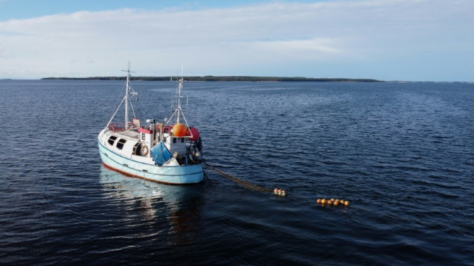 Oc&eacute;ans : r&eacute;oxyg&eacute;ner la mer Baltique, le pari pionnier de start-up et de scientifiques  